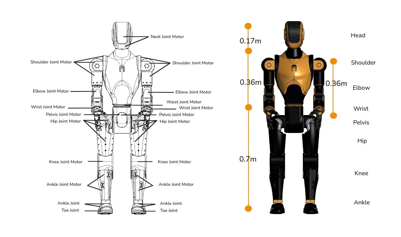 Joint motor layout diagram and body segment dimensions