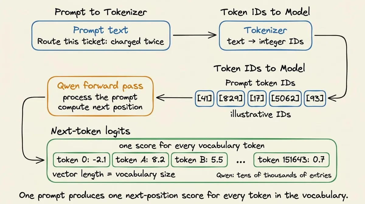 Prompt to tokenizer, tokenizer to token IDs, one forward pass, next-token logits