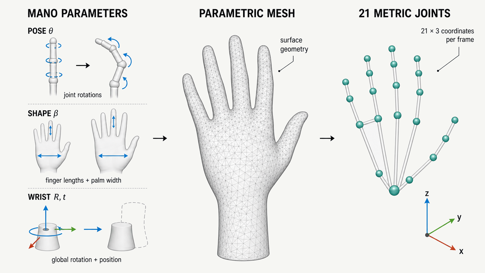 MANO 参数解码为 21 个 3D 手部关节
