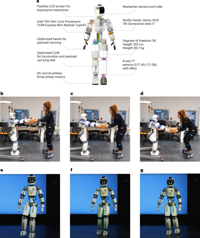ergoCub: Shared Embodied Intelligence for Humanoid Robots