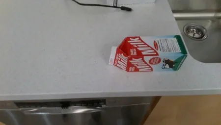 Ego keyframe: a red-and-white milk carton standing on the white counter next to the sink