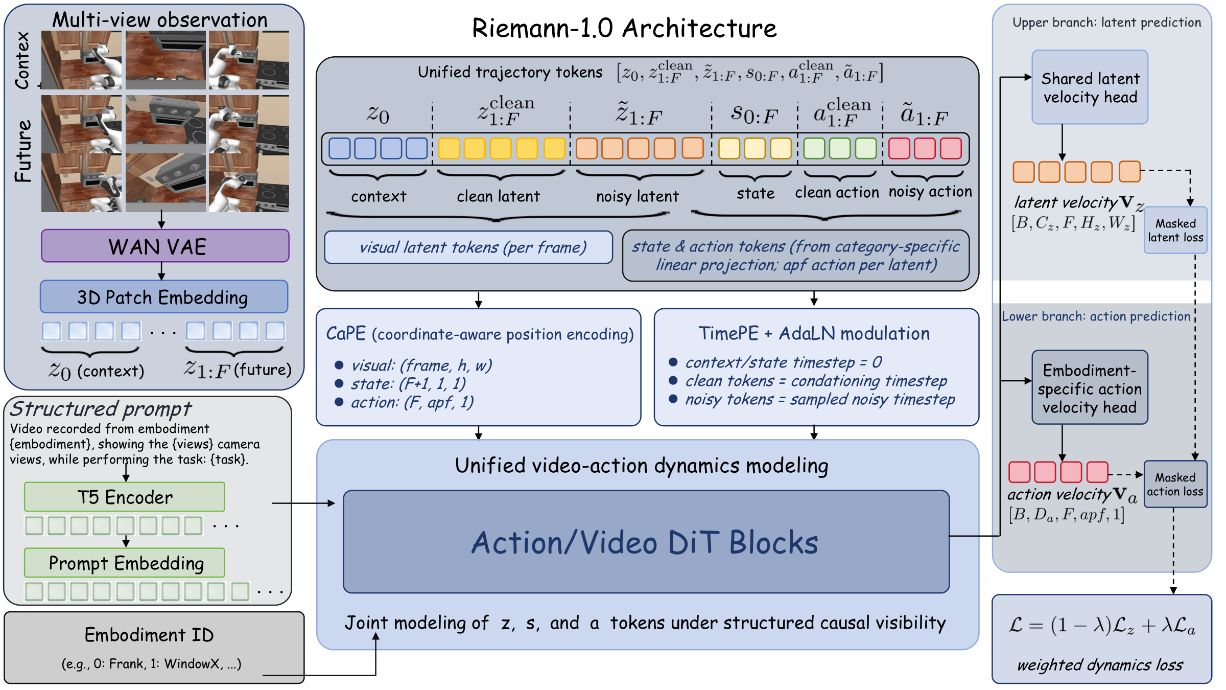 Riemann-1.0 causal action-video architecture