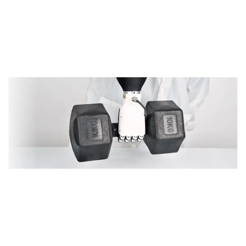 Inspire Robots RH56DFX 系列仿人五指灵巧手