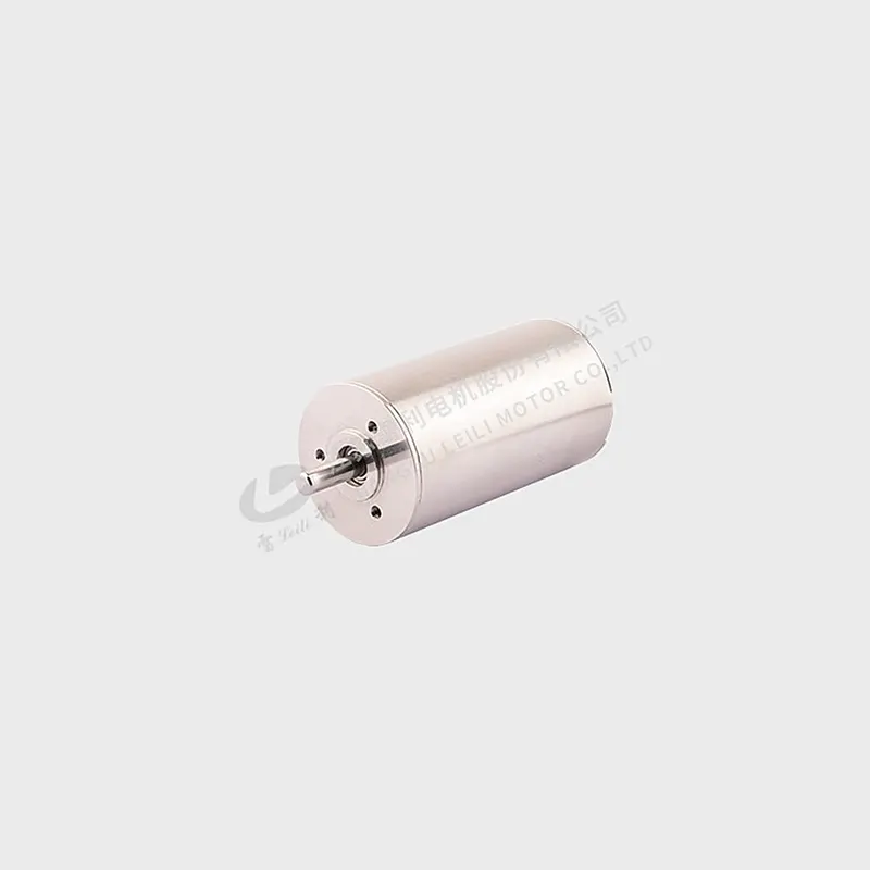 Leili ZWWC Coreless BLDC Motor Series