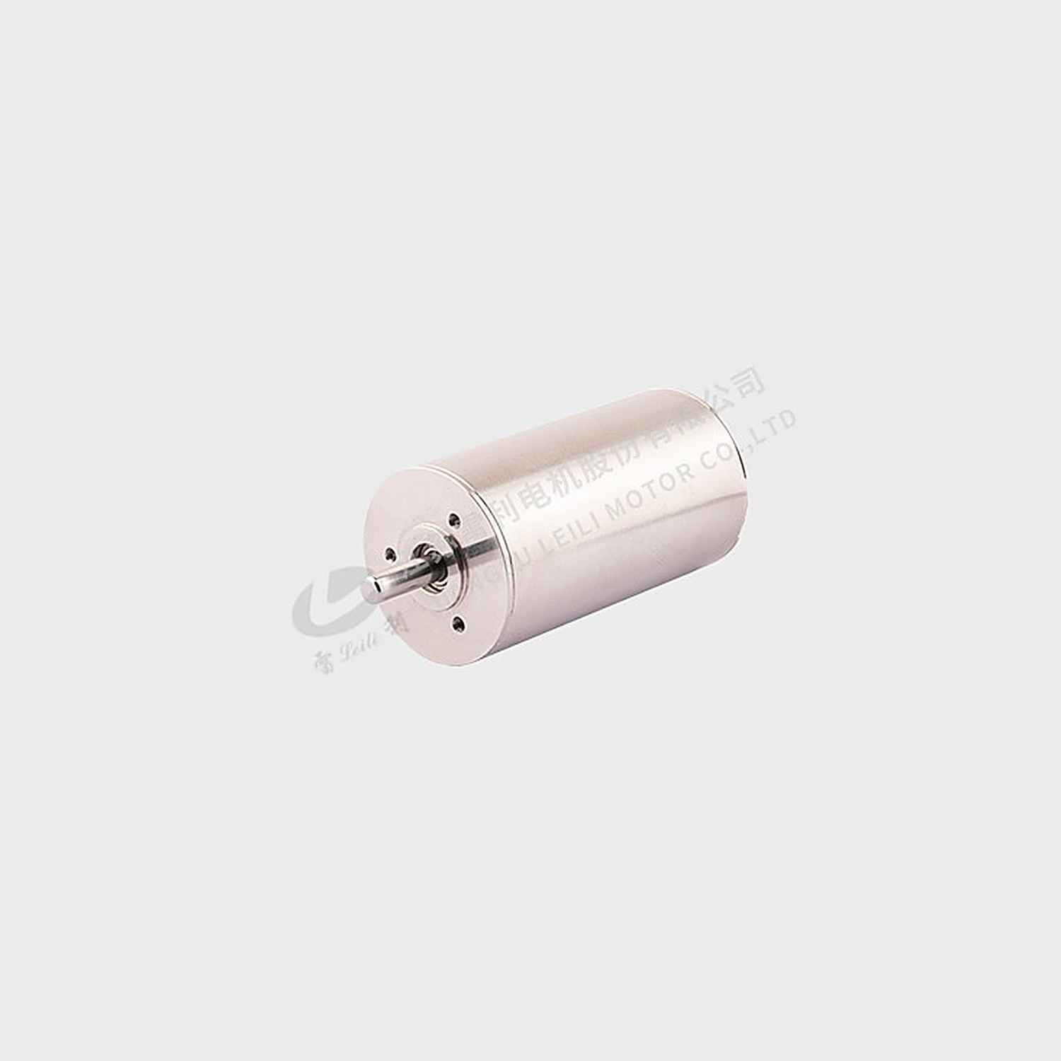 Leili ZWWC Coreless BLDC Motor Series