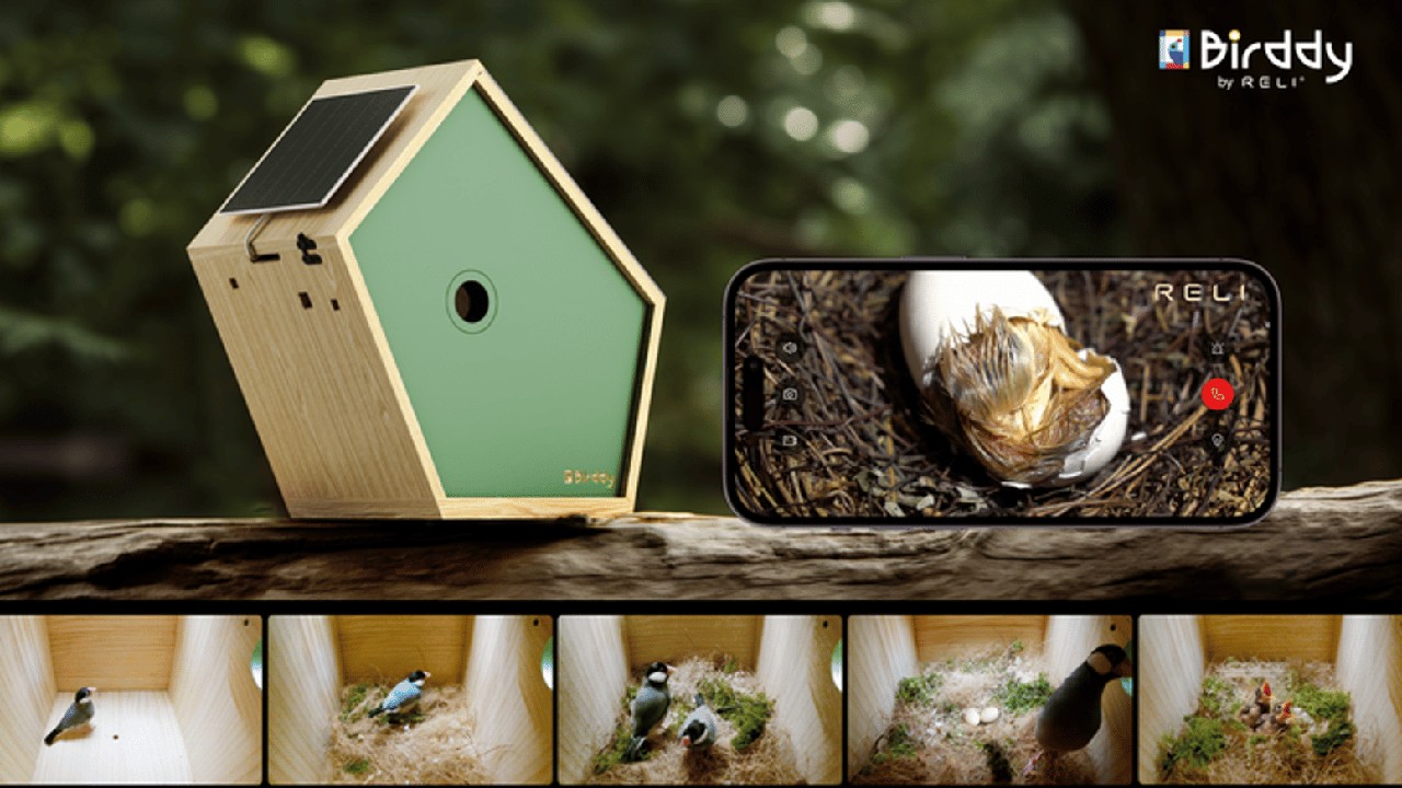 Birddy Smart Bird House: A Breakthrough in Avian Observation