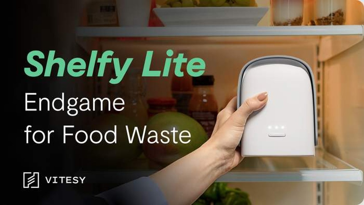 Shelfy Lite: Endgame for Food Waste