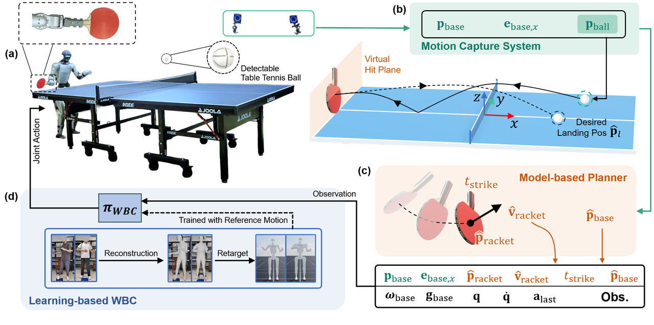 HITTER: A HumanoId Table TEnnis Robot via Hierarchical Planning and Learning