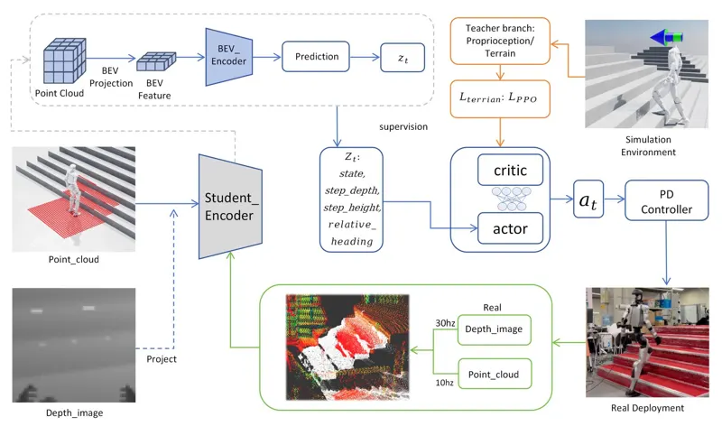 Explicit Stair Geometry Conditioning for Robust Humanoid Locomotion