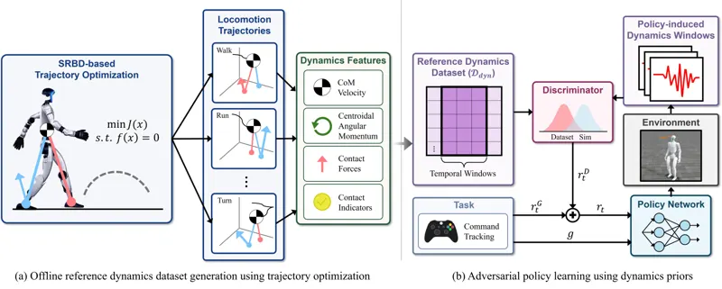 ADP: Adversarial Dynamics Priors for Physically Grounded Humanoid Locomotion