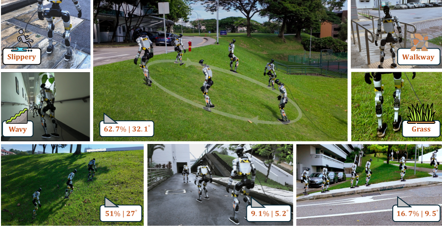 Physics-Guided Biomechanical Gait Adaptation for Humanoid Locomotion on Extreme Sloped Terrains