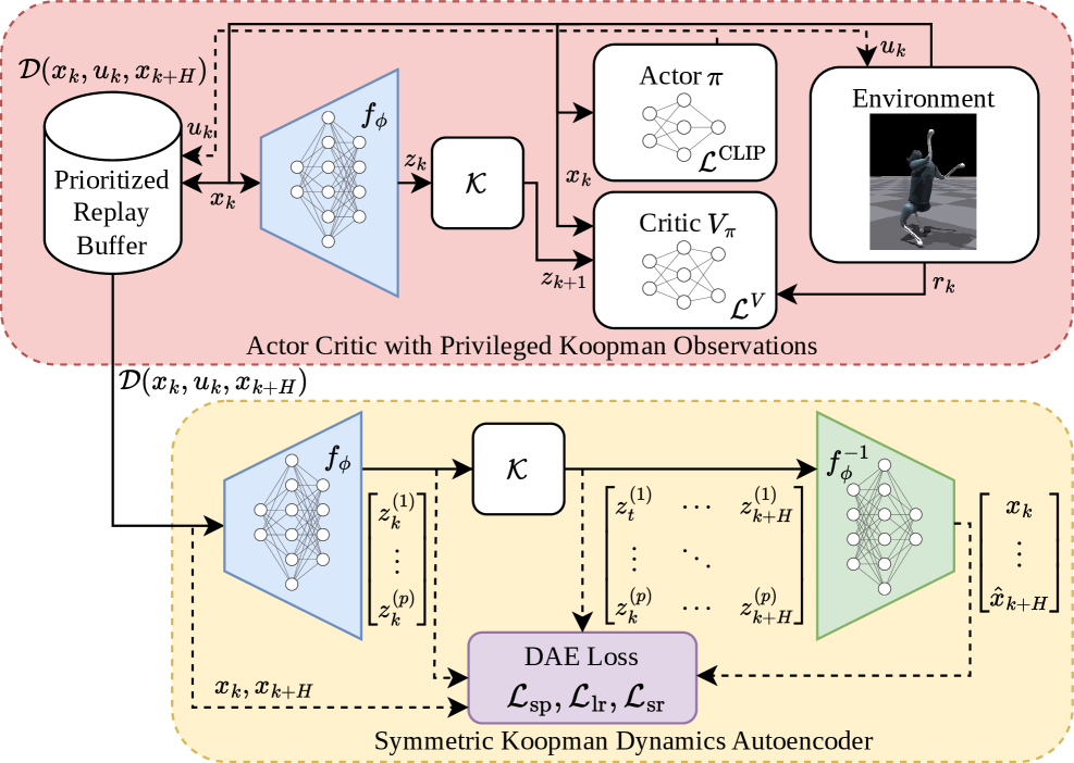 SKooP: Symmetric Koopman Predictions for Faster and More Generalizable Legged Robot Locomotion with Reinforcement Learning