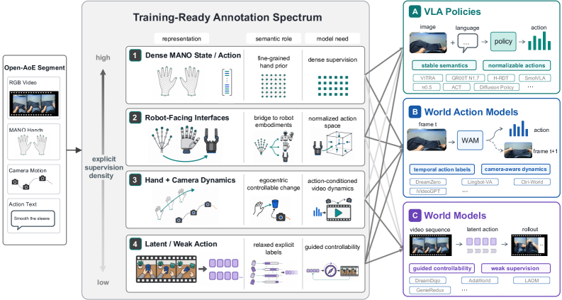 Figure 5. AoE-Training-Ready representation spectrum and downstream connections
