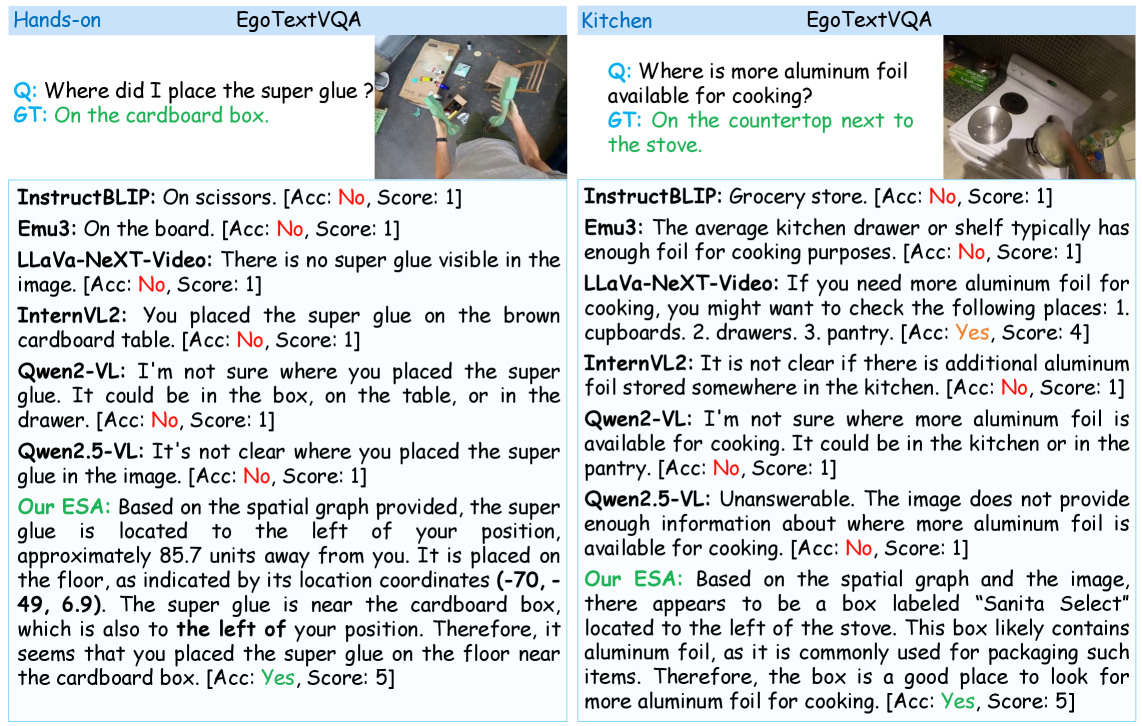 Reinforcing Egocentric Spatial Perception in Multimodal Large Language Models via Ego Scene Augmentation