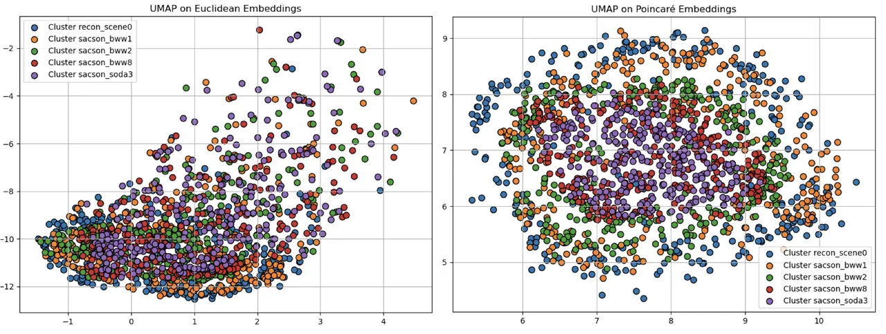 Euclidean and Poincare embeddings