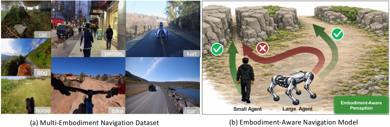 EA-Nav: Learning Safe Visual Navigation Policies with Embodiment Awareness