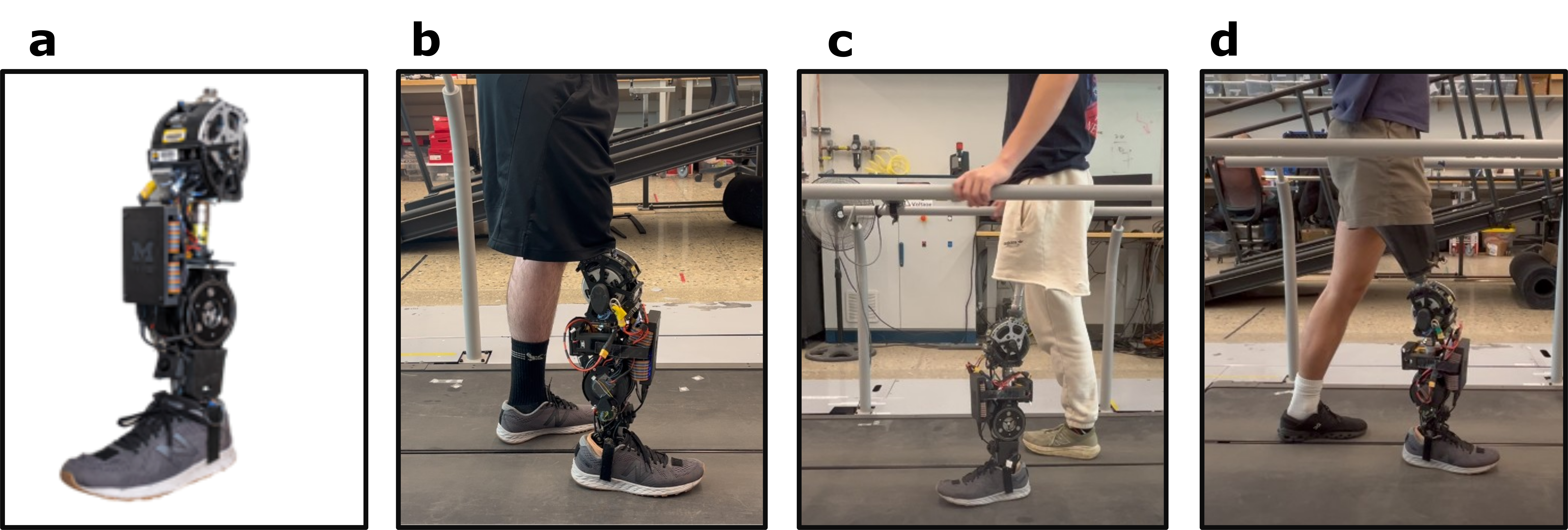 A Replay-Constrained Simulation Framework for Personalization of Powered Knee--Ankle Prosthesis Controllers