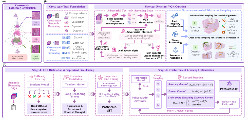 PathScale-R1: Cross-scale Reasoning for Pathological Image Analysis