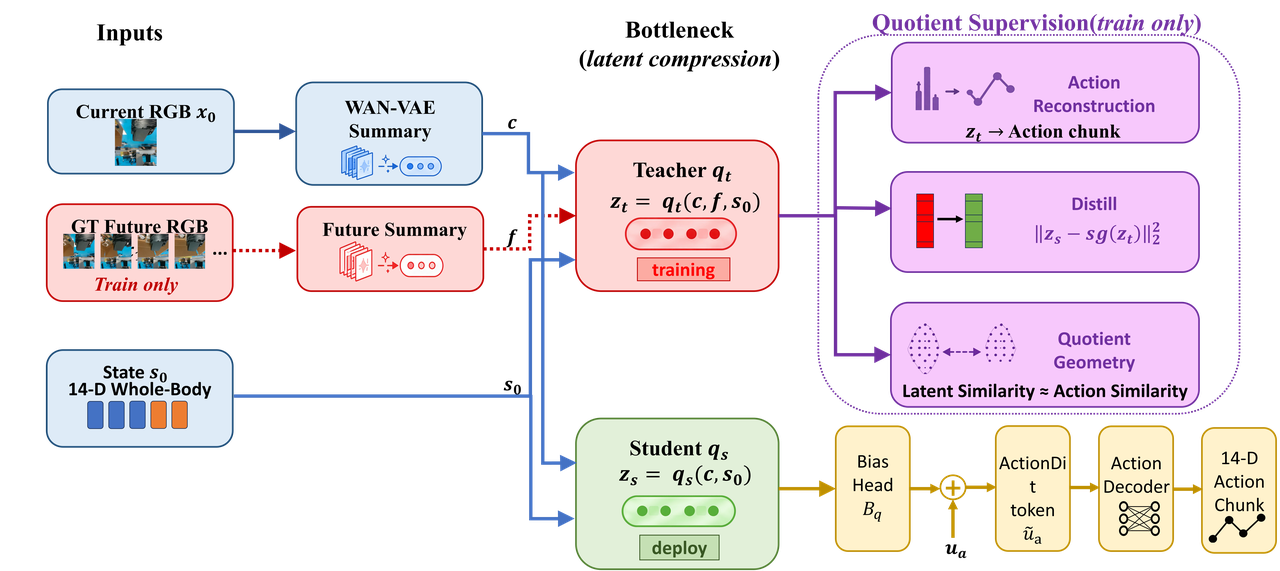 DECOWAM: Decoupled Whole-Body World-Action Model for Legged Mobile Manipulation
