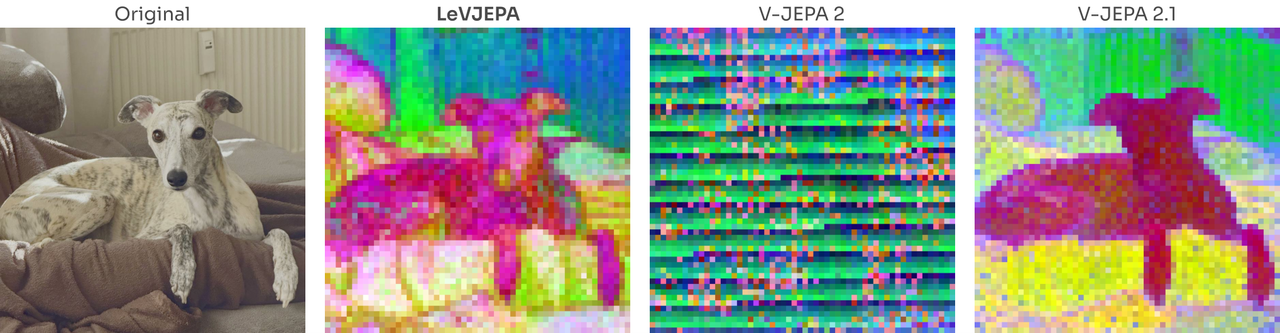 patch token PCA comparison