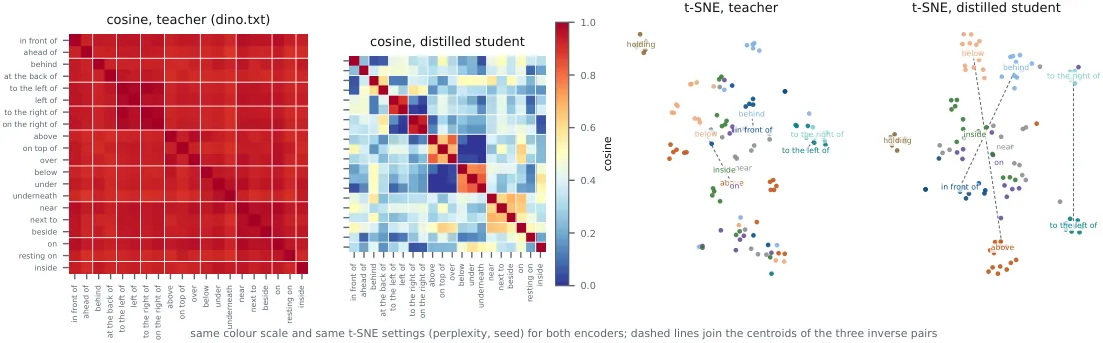 Directionality of the text embedding space