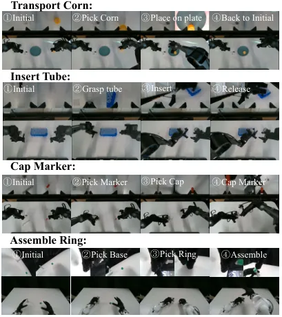 四项精密双臂任务：转运玉米、插入试管、盖笔帽与灵巧手组装圆环