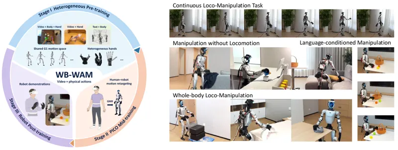 WB-WAM: Heterogeneous Body-Hand Pre-training for Humanoid Loco-Manipulation