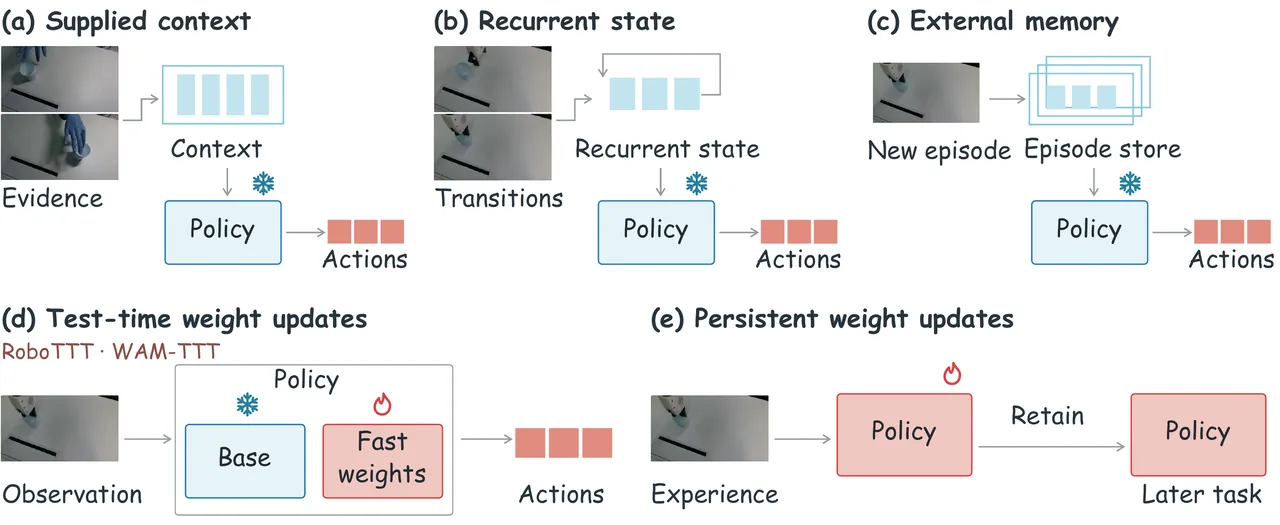 Five locations and timescales of adaptation