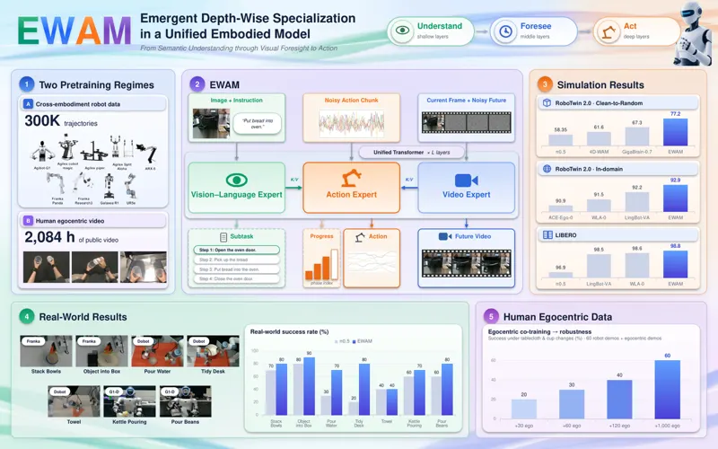 EWAM: Emergent Depth-Wise Specialization in a Unified Embodied Model – From Semantic Understanding through Visual Foresight to Action