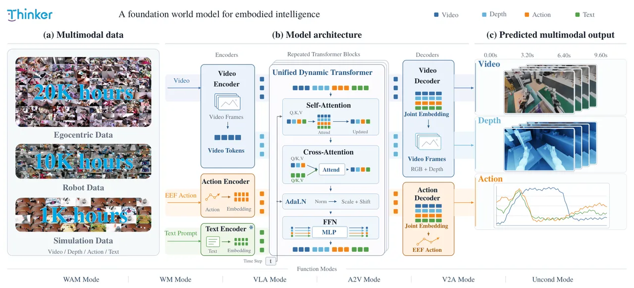 Thinker-WM corpus, architecture, and open-loop outputs