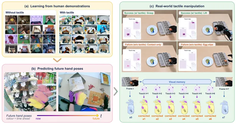 T-WLA: Bridging Slow Vision and Fast Touch