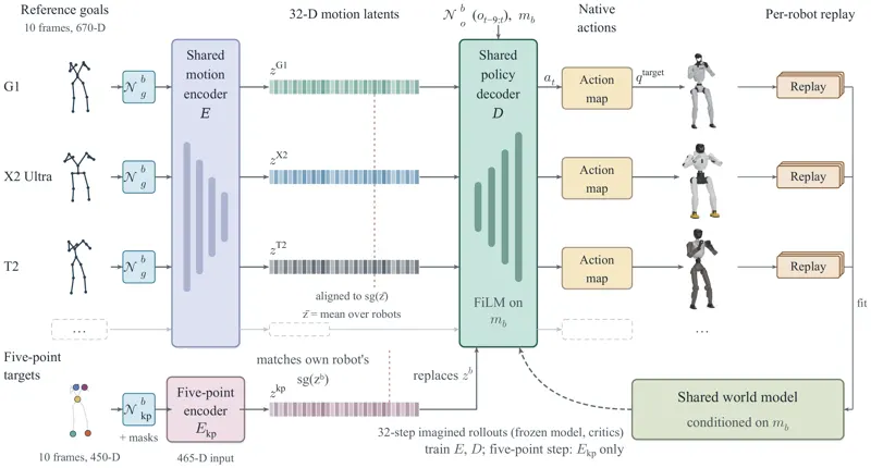 MorphMimic: Morphology-Conditioned World Model and Policy Sharing Across Humanoids
