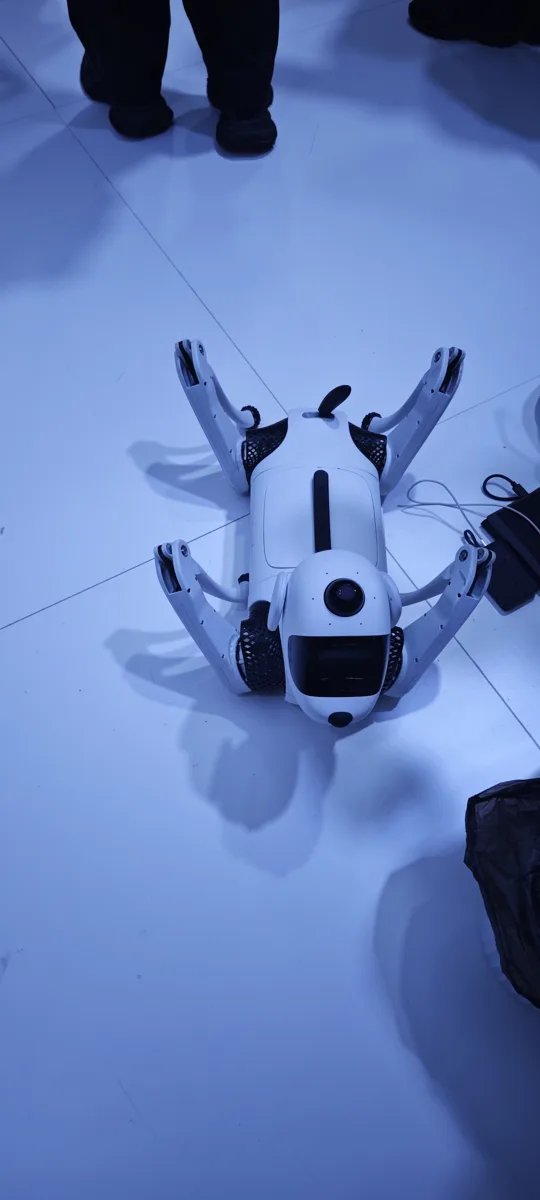 Quadruped Robot on Its Back