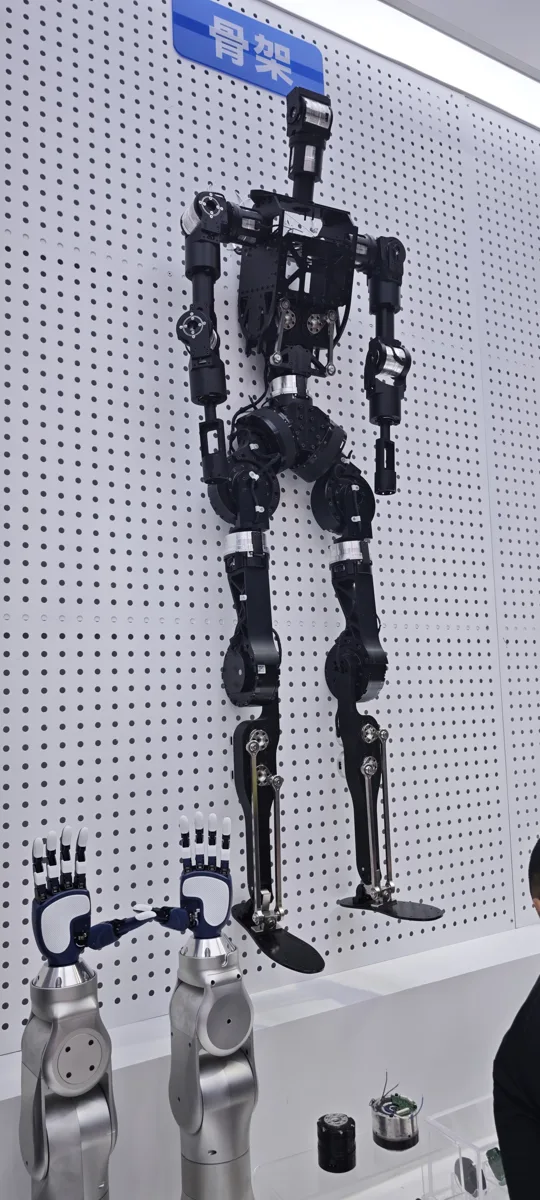 Humanoid Robot Skeleton Display