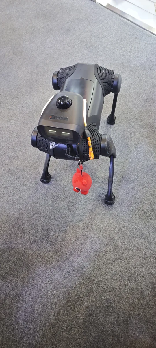 Unitree Go2 Quadruped Robot Dog