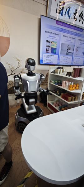 LingBot 轮式半身机器人