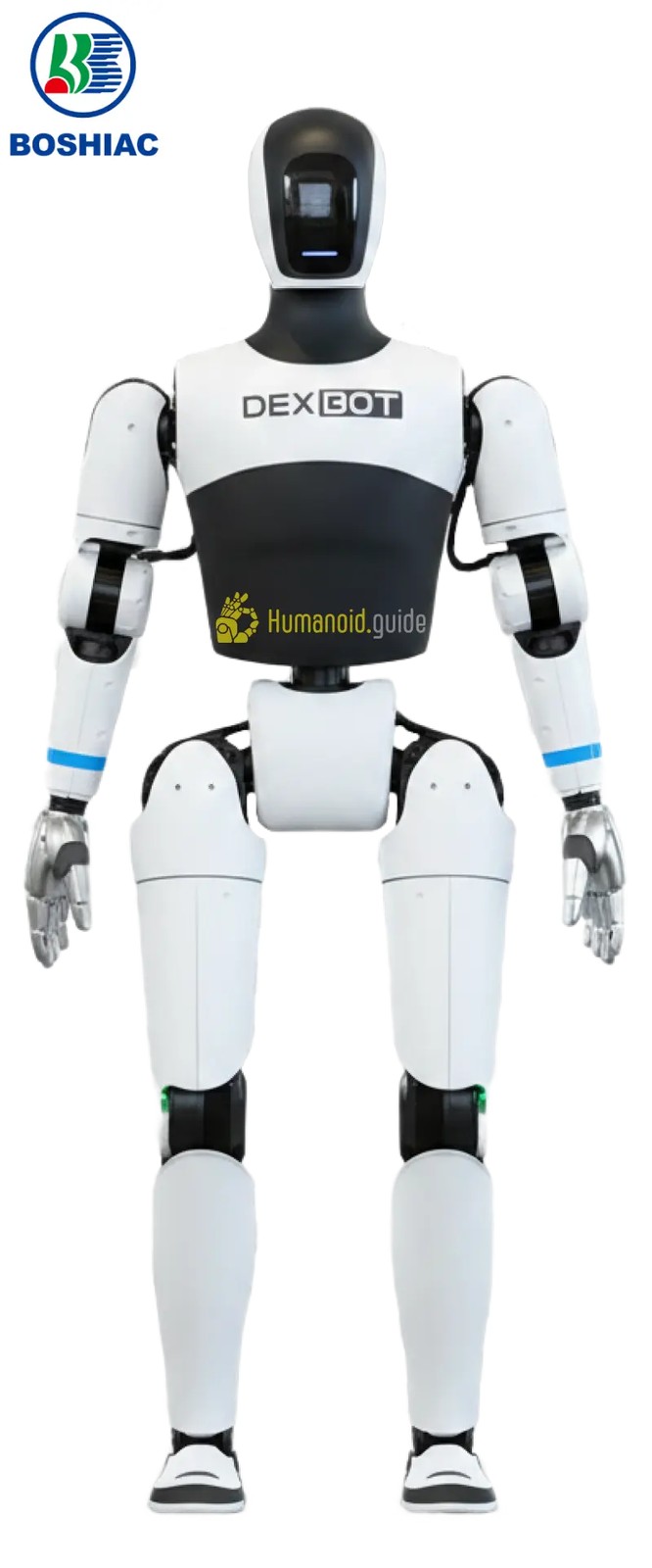 DexBot 人形机器人
