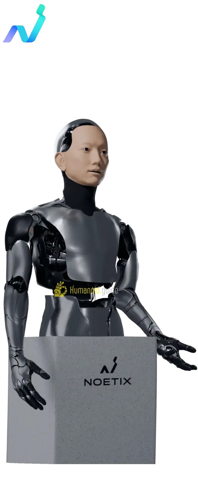 Hobbs 人形机器人