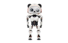 兴锦人形机器人 锦宝·J-PANDA