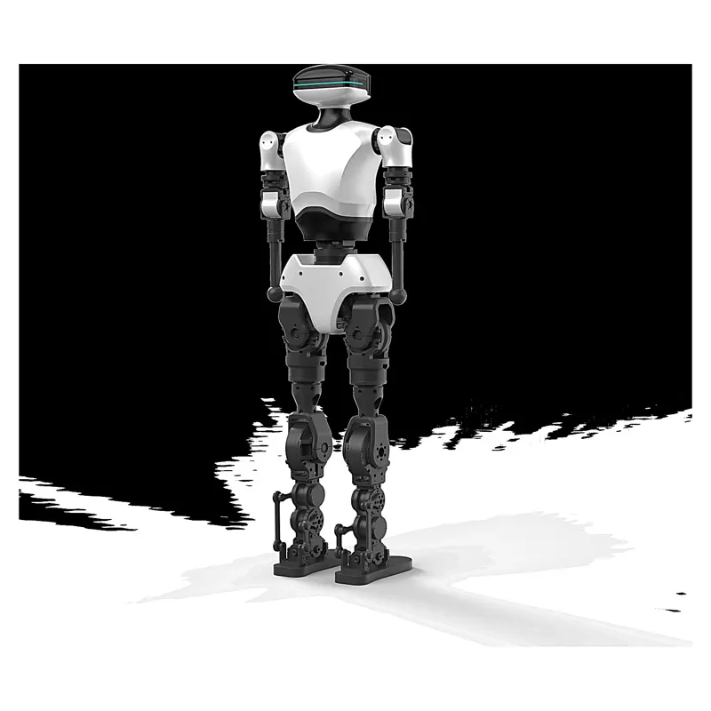 YMbot Type E Educational Bipedal Humanoid