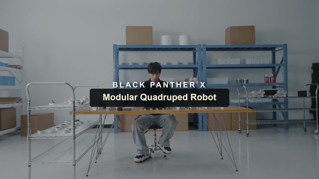 MirrorMe modular open quadruped Black Panther X