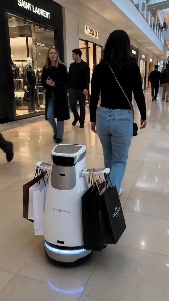 Shopping Bags That Follow You Home: A Bag-Carrying Follower Robot in the Mall
