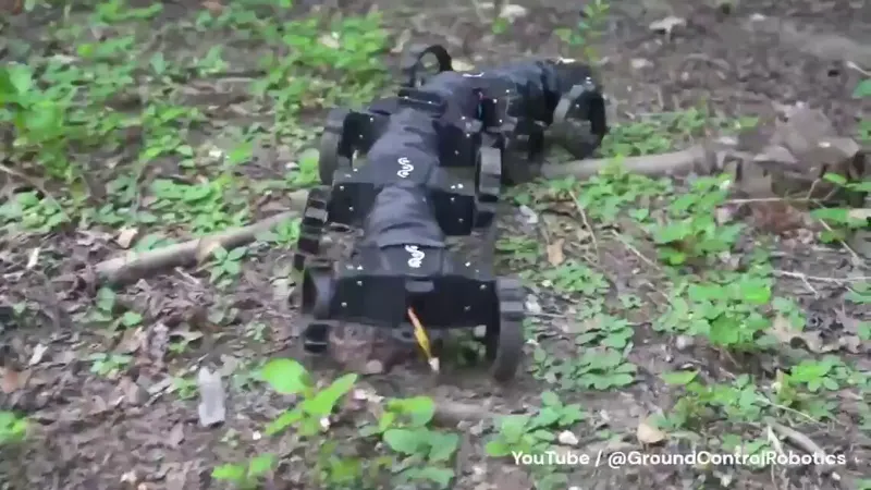 Multi-Legged Robot Lizard for Tough Terrain