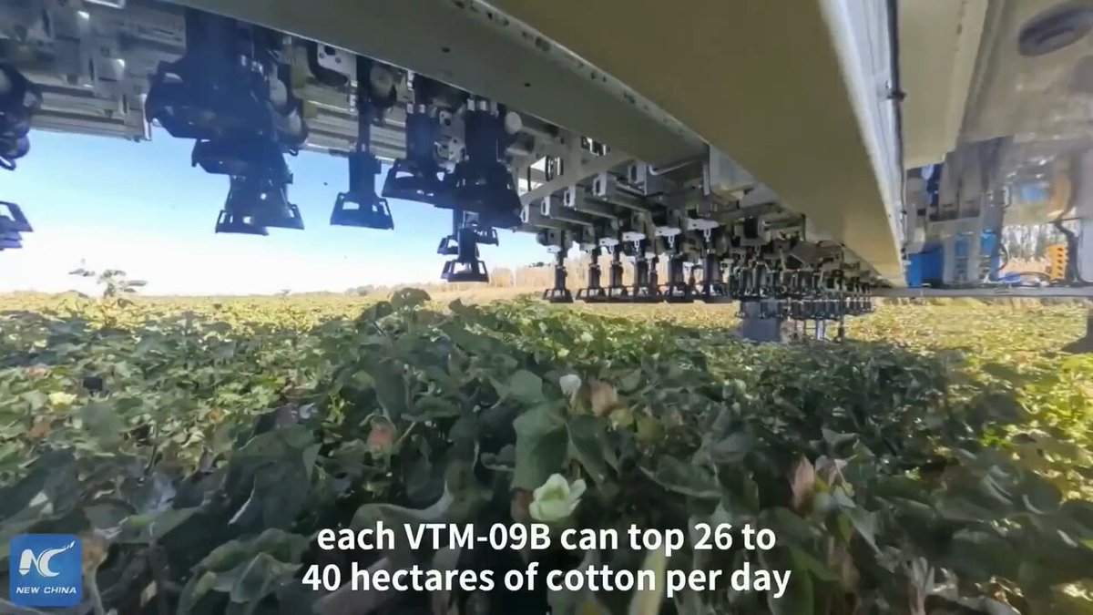Cotton Topping Robots Take Over Field Work in Xinjiang