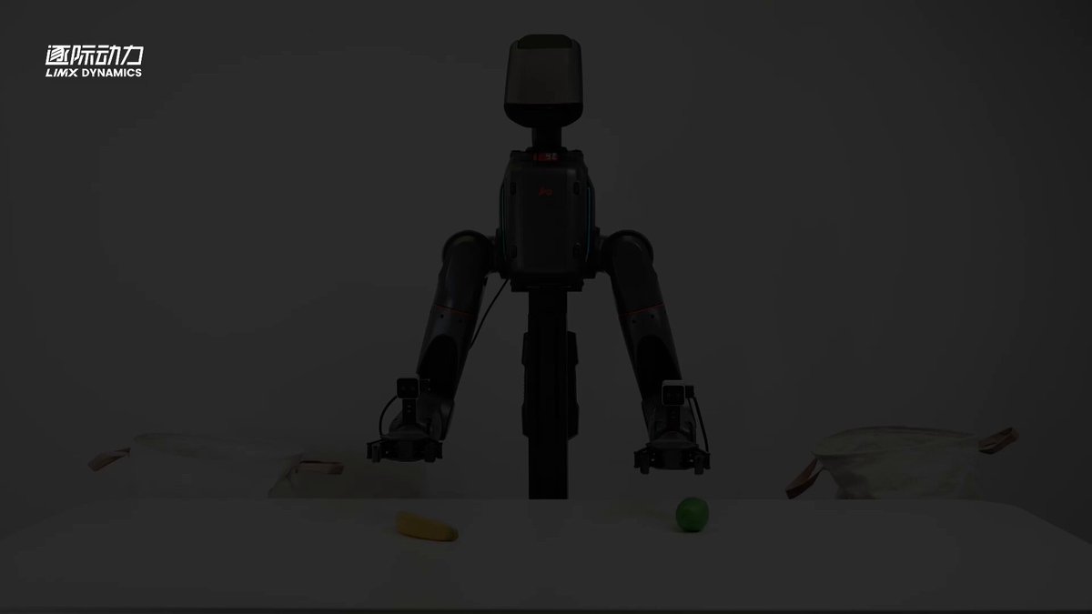 LimX TRON 2 VLA active-vision sorting demo