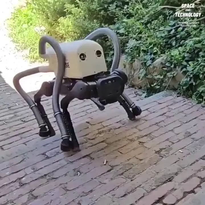Vero — AI robot dog cleaning cigarette butts from streets and beaches