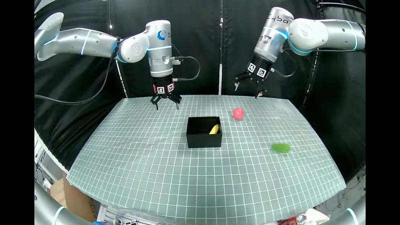 Fisheye-VLA: One Fisheye Camera Beats Head + Wrist Cameras