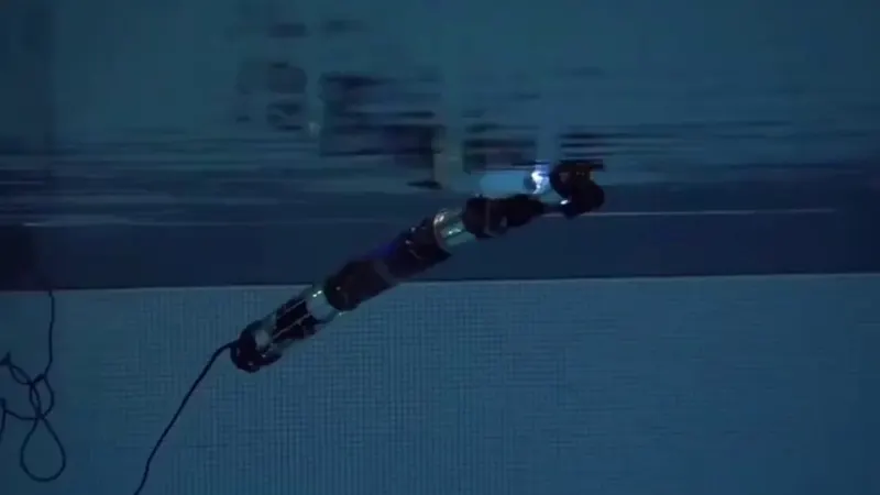 CMU HUMRS Underwater Modular Robot Snake