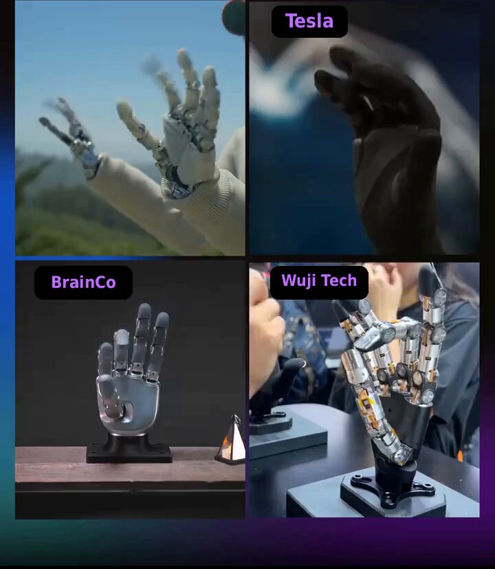 Robotic Hands Compared: 1X, Tesla, BrainCo, Wuji Tech